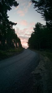 Preview wallpaper road, trees, sunset, evening, twilight