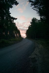 Preview wallpaper road, trees, sunset, evening, twilight