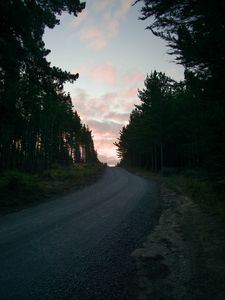 Preview wallpaper road, trees, sunset, evening, twilight