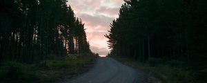 Preview wallpaper road, trees, sunset, evening, twilight