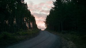 Preview wallpaper road, trees, sunset, evening, twilight