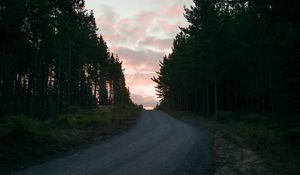 Preview wallpaper road, trees, sunset, evening, twilight