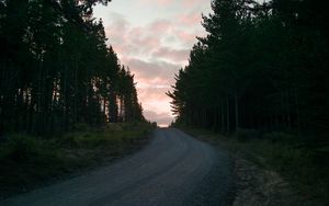 Preview wallpaper road, trees, sunset, evening, twilight