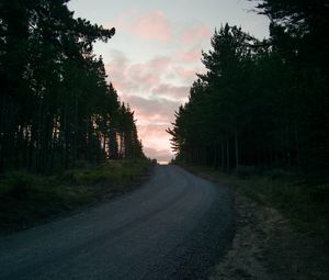 Preview wallpaper road, trees, sunset, evening, twilight