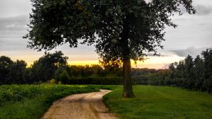Preview wallpaper road, trees, sunset, nature