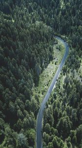 Preview wallpaper road, trees, top view, forest, turn