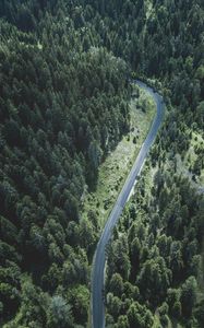 Preview wallpaper road, trees, top view, forest, turn