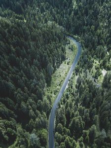 Preview wallpaper road, trees, top view, forest, turn