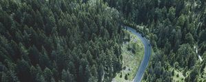 Preview wallpaper road, trees, top view, forest, turn