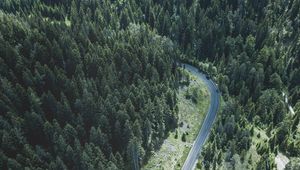 Preview wallpaper road, trees, top view, forest, turn