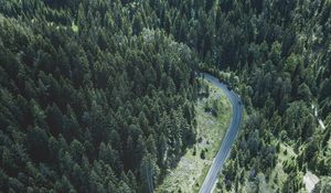 Preview wallpaper road, trees, top view, forest, turn