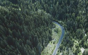 Preview wallpaper road, trees, top view, forest, turn