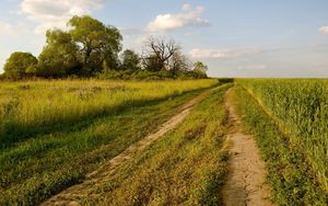 Preview wallpaper road, trees, track, green, field, summer