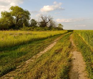 Preview wallpaper road, trees, track, green, field, summer