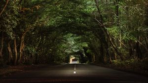 Preview wallpaper road, trees, tunnel, branches, asphalt