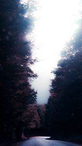 Preview wallpaper road, trees, turn