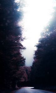 Preview wallpaper road, trees, turn