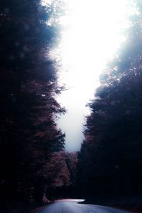 Preview wallpaper road, trees, turn