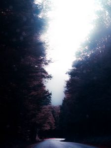 Preview wallpaper road, trees, turn