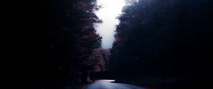 Preview wallpaper road, trees, turn