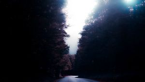 Preview wallpaper road, trees, turn