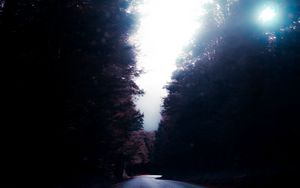 Preview wallpaper road, trees, turn