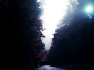 Preview wallpaper road, trees, turn