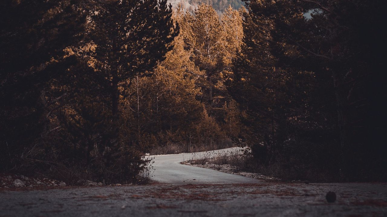 Wallpaper road, trees, turn, autumn