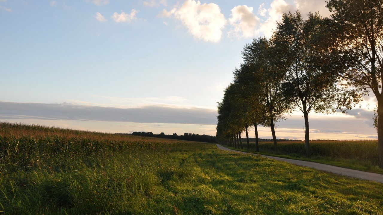 Wallpaper road, trees, turn, sky hd, picture, image