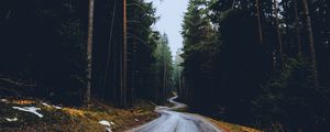 Preview wallpaper road, trees, winding, spring, asphalt, wet