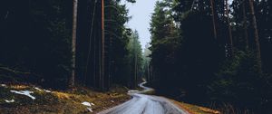 Preview wallpaper road, trees, winding, spring, asphalt, wet