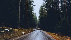 Preview wallpaper road, trees, winding, spring, asphalt, wet