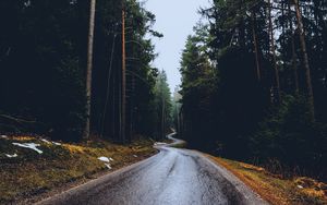 Preview wallpaper road, trees, winding, spring, asphalt, wet