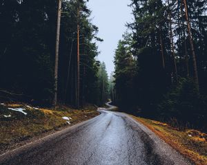 Preview wallpaper road, trees, winding, spring, asphalt, wet