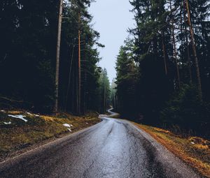 Preview wallpaper road, trees, winding, spring, asphalt, wet