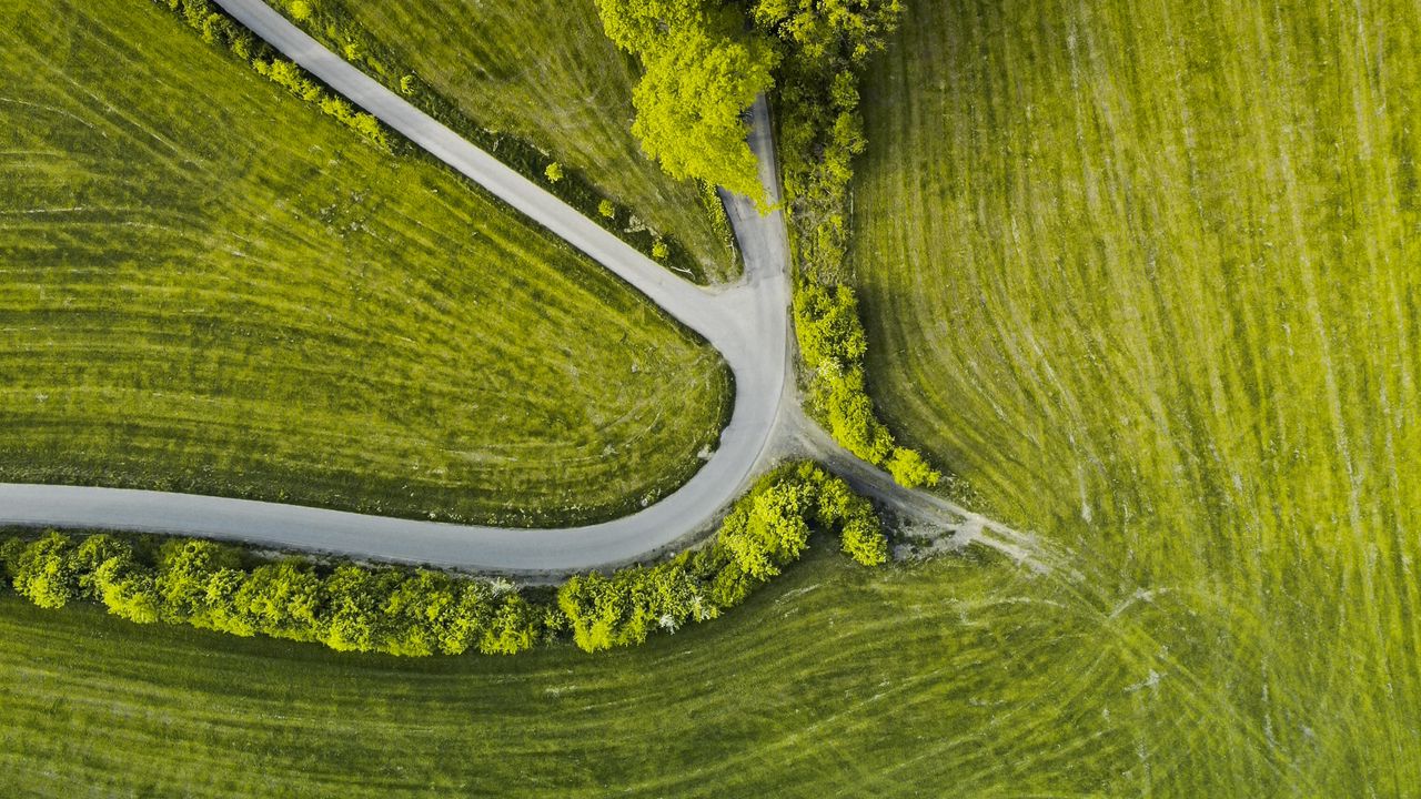 Wallpaper road, trees, winding, grass, aerial view