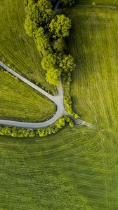 Preview wallpaper road, trees, winding, grass, aerial view