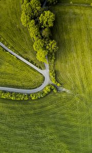Preview wallpaper road, trees, winding, grass, aerial view