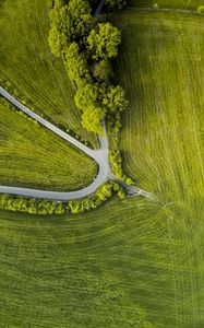 Preview wallpaper road, trees, winding, grass, aerial view