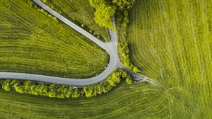 Preview wallpaper road, trees, winding, grass, aerial view