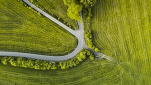 Preview wallpaper road, trees, winding, grass, aerial view