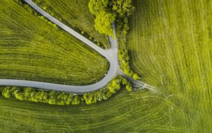 Preview wallpaper road, trees, winding, grass, aerial view
