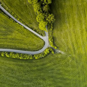 Preview wallpaper road, trees, winding, grass, aerial view