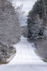 Preview wallpaper road, trees, winter, snow, nature, landscape