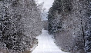 Preview wallpaper road, trees, winter, snow, nature, landscape