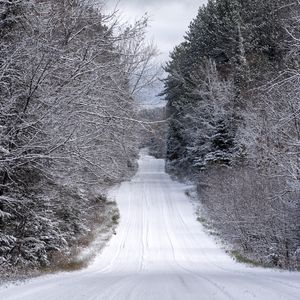 Preview wallpaper road, trees, winter, snow, nature, landscape