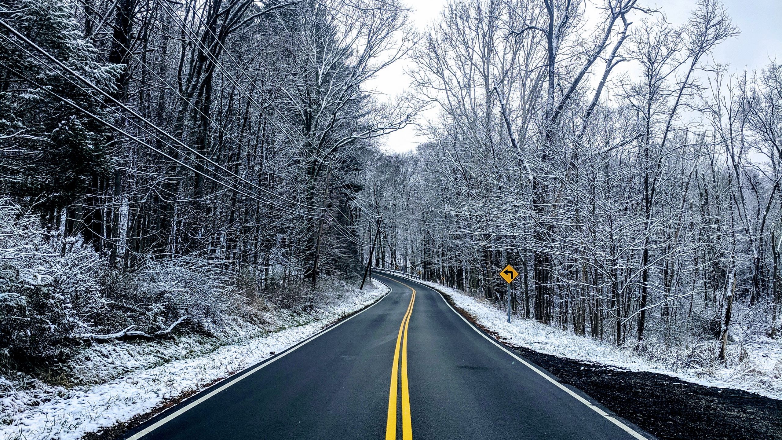Download wallpaper 2560x1440 road, trees, winter, marking, snow, asphalt  widescreen 16:9 hd background