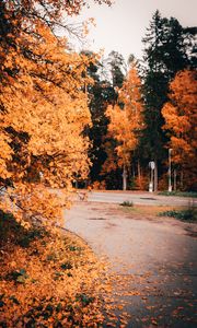 Preview wallpaper road, trees, yellow, foliage, autumn
