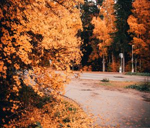 Preview wallpaper road, trees, yellow, foliage, autumn