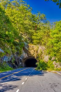 Preview wallpaper road, tunnel, darkness, trees, shadows